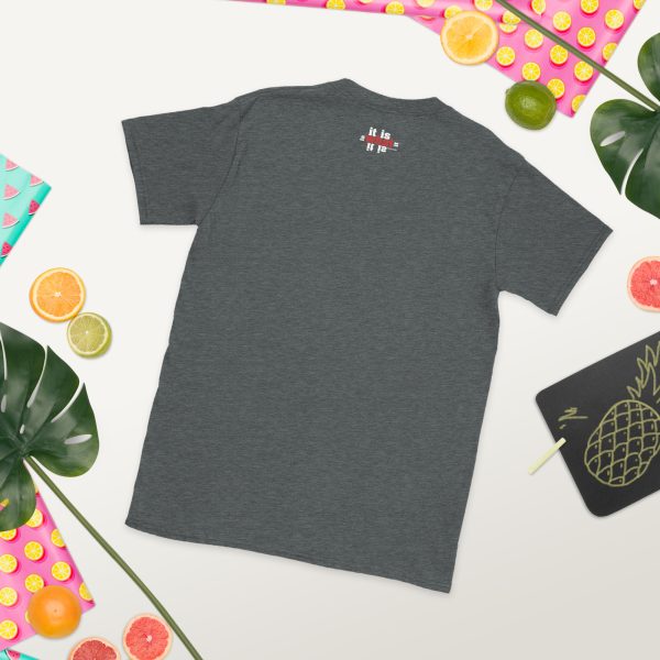 A gray t-shirt with a pineapple on it.